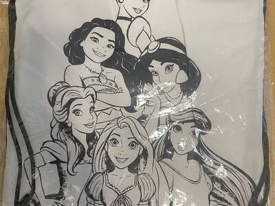 Disney Princess Coloring Bag (new)