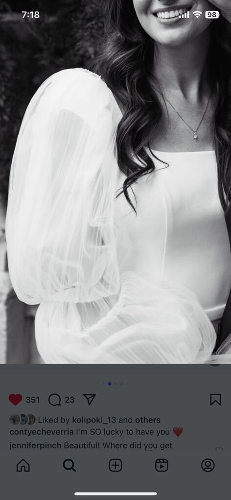 Fit N Flare Wedding Dress and Cathedral Veil