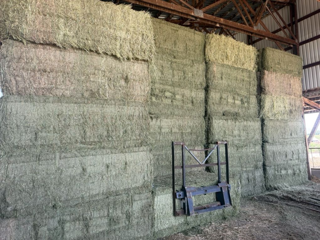 1st Cutting Alfalfa