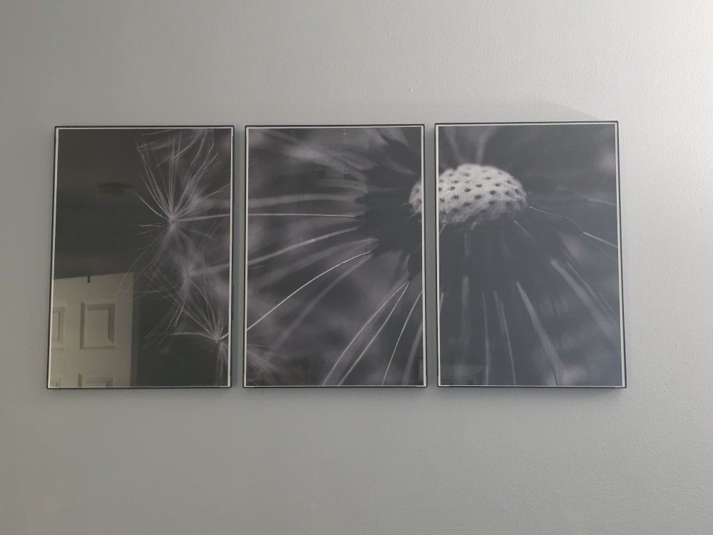 Main image 4