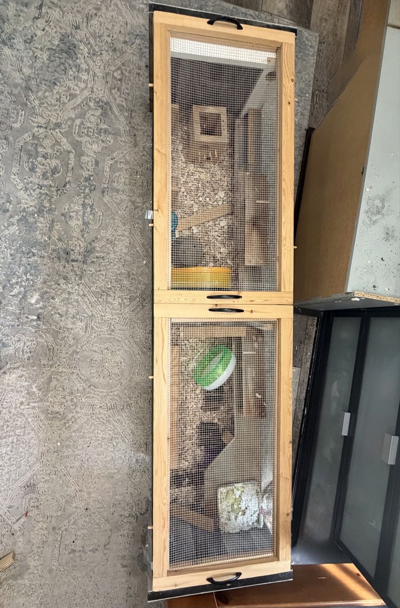 Main image 3