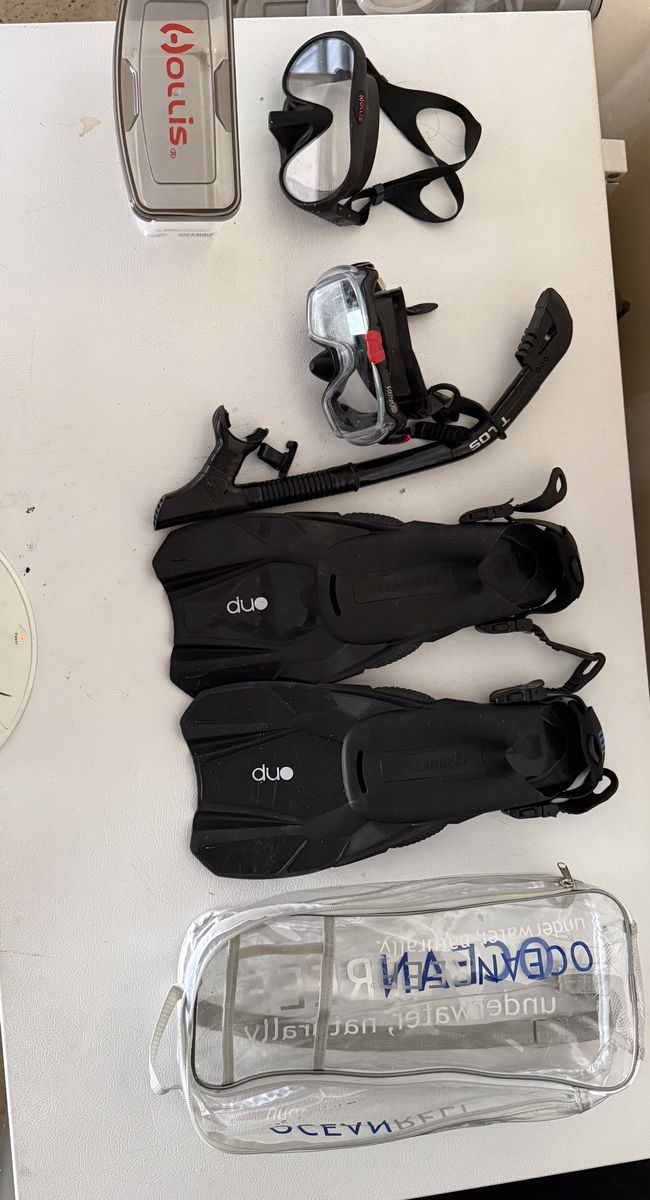Snorkel Gear