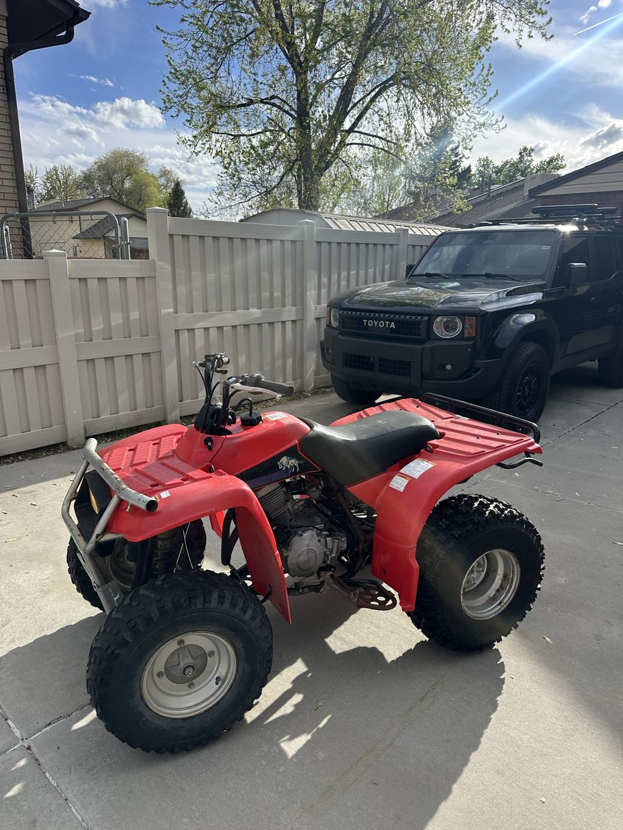 Yamaha Timberwolf 250