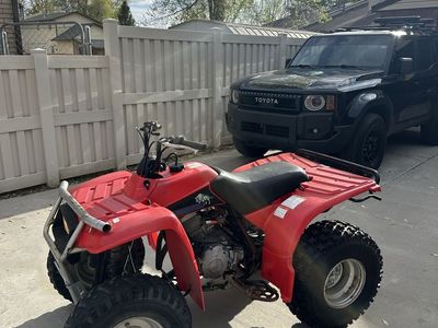 Yamaha Timberwolf 250