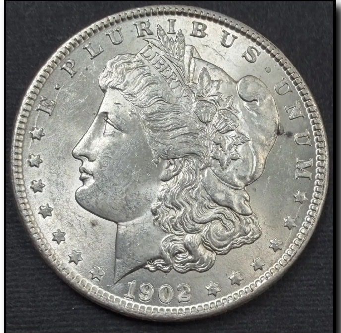 1902 o Morgan filled 2 vam66
