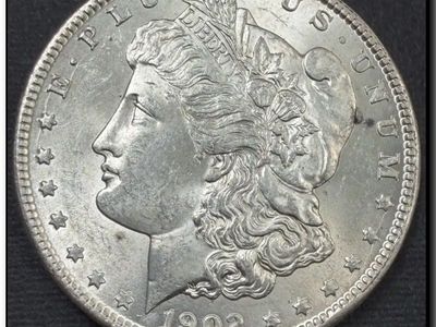 1902 o Morgan filled 2 vam66
