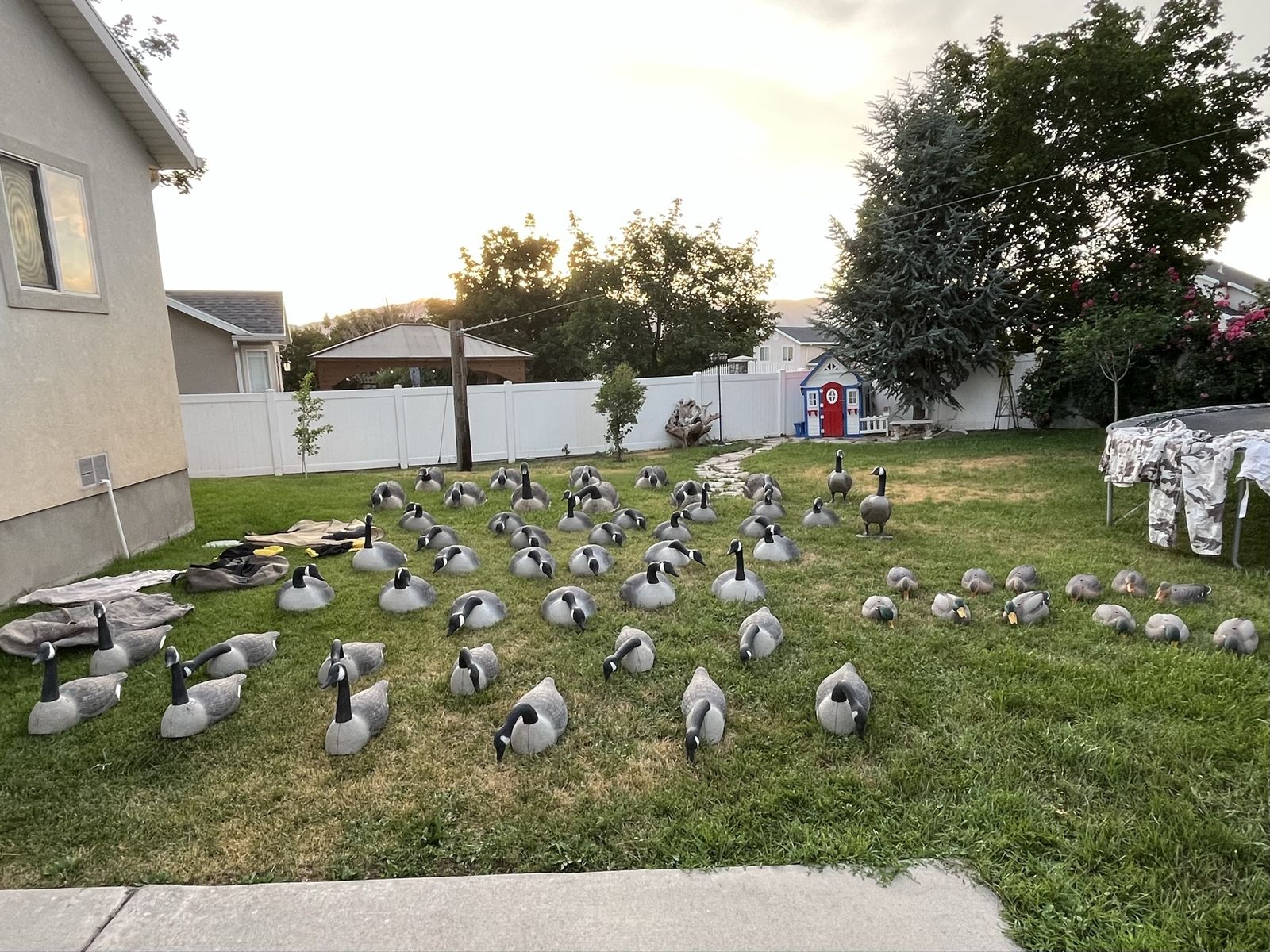 4 Dozen Geese Shells - 1 Dozen Duck Shells with bags and snow camo
