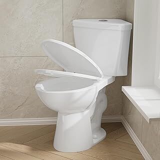 New Corner Toilet