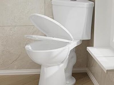 New Corner Toilet