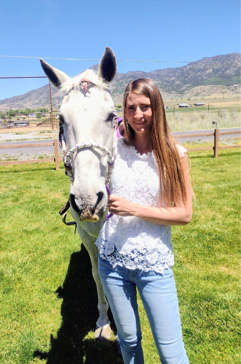Quarter horse for lease