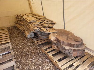 English Walnut Live Edge Boards Lumber and Root Ball Slabs, Kiln Dried