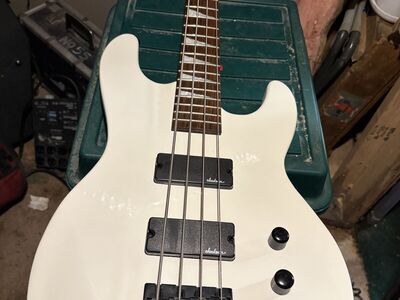 Jackson Bass