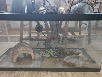 Reptile Cage