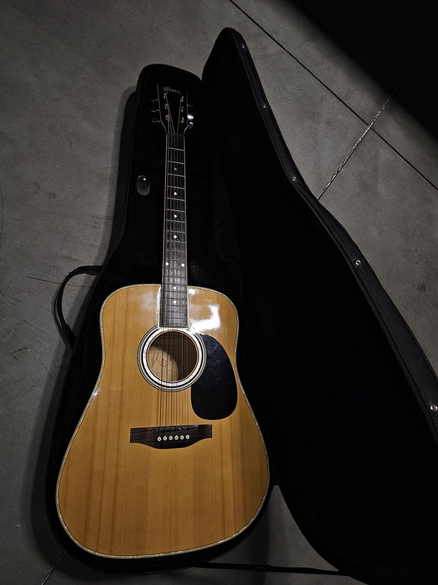 Acoustic Electric Guitar AL-100