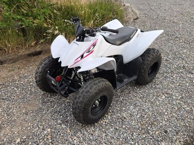 2019 Honda TRX 90X ATV Sport Quad - White/Pink Decals - Excellent Condition - Electric Start - $2,950 OBO