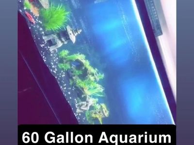 60 Gallon Fish Tank Aquarium plus the stand- Used, Great Condition