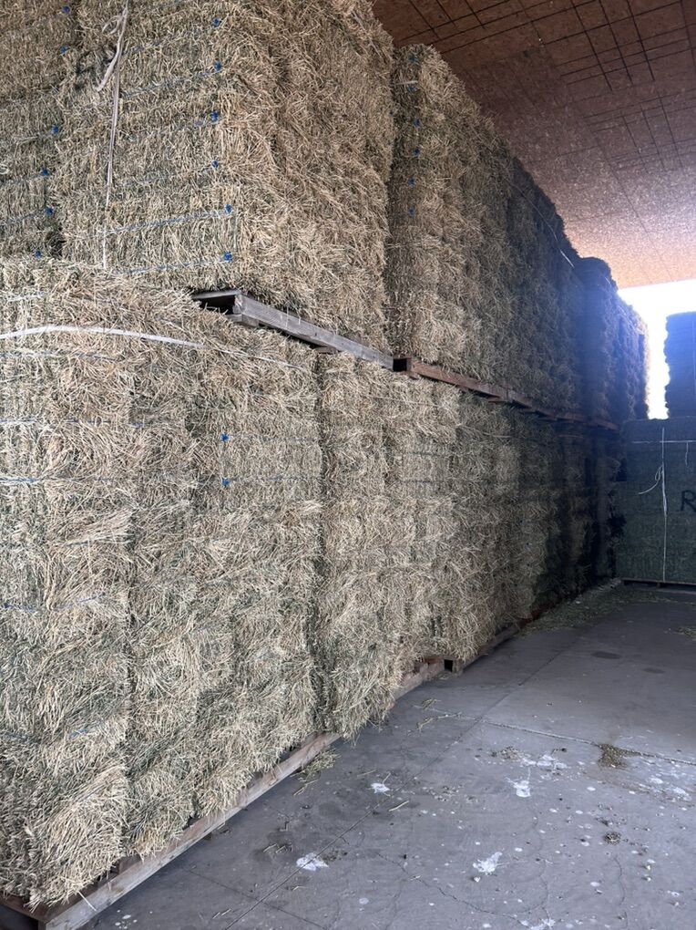 Two String Alfalfa Small Bales