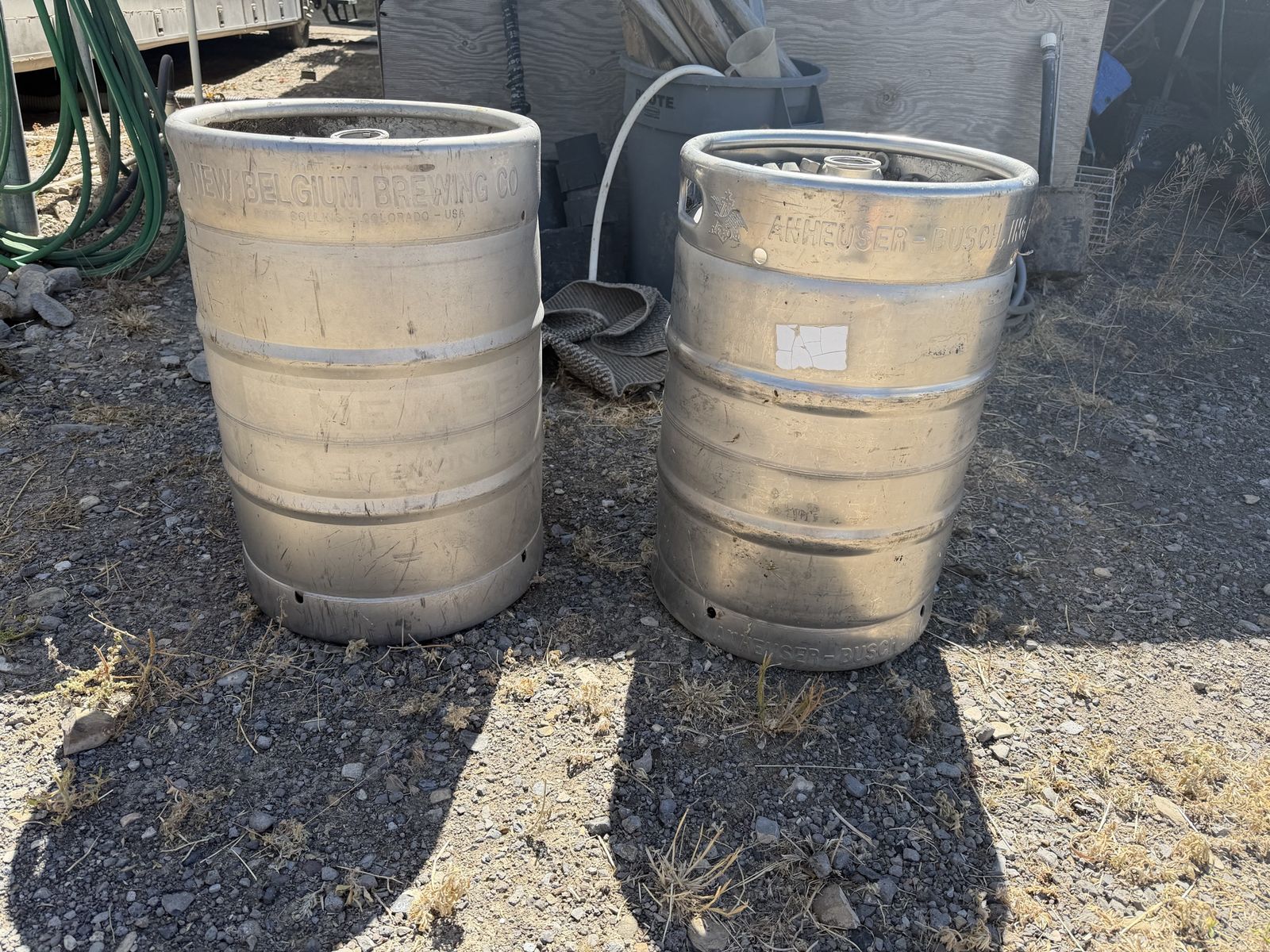 New Belgian & Budweiser keg $45 each obo