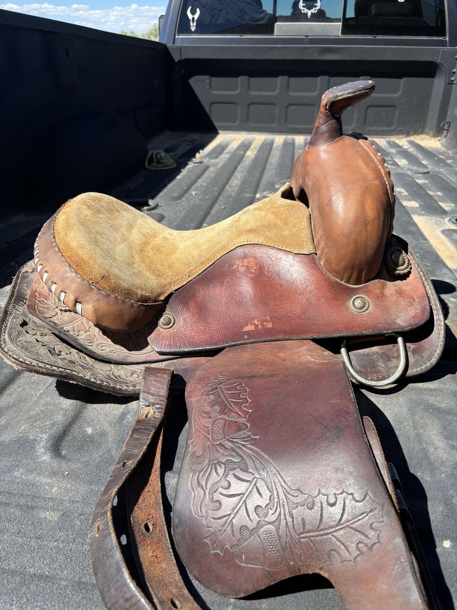 15 in Saddle