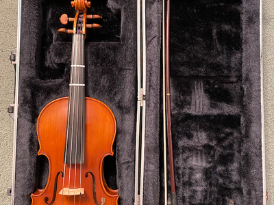 Eastman 14" Viola VA200