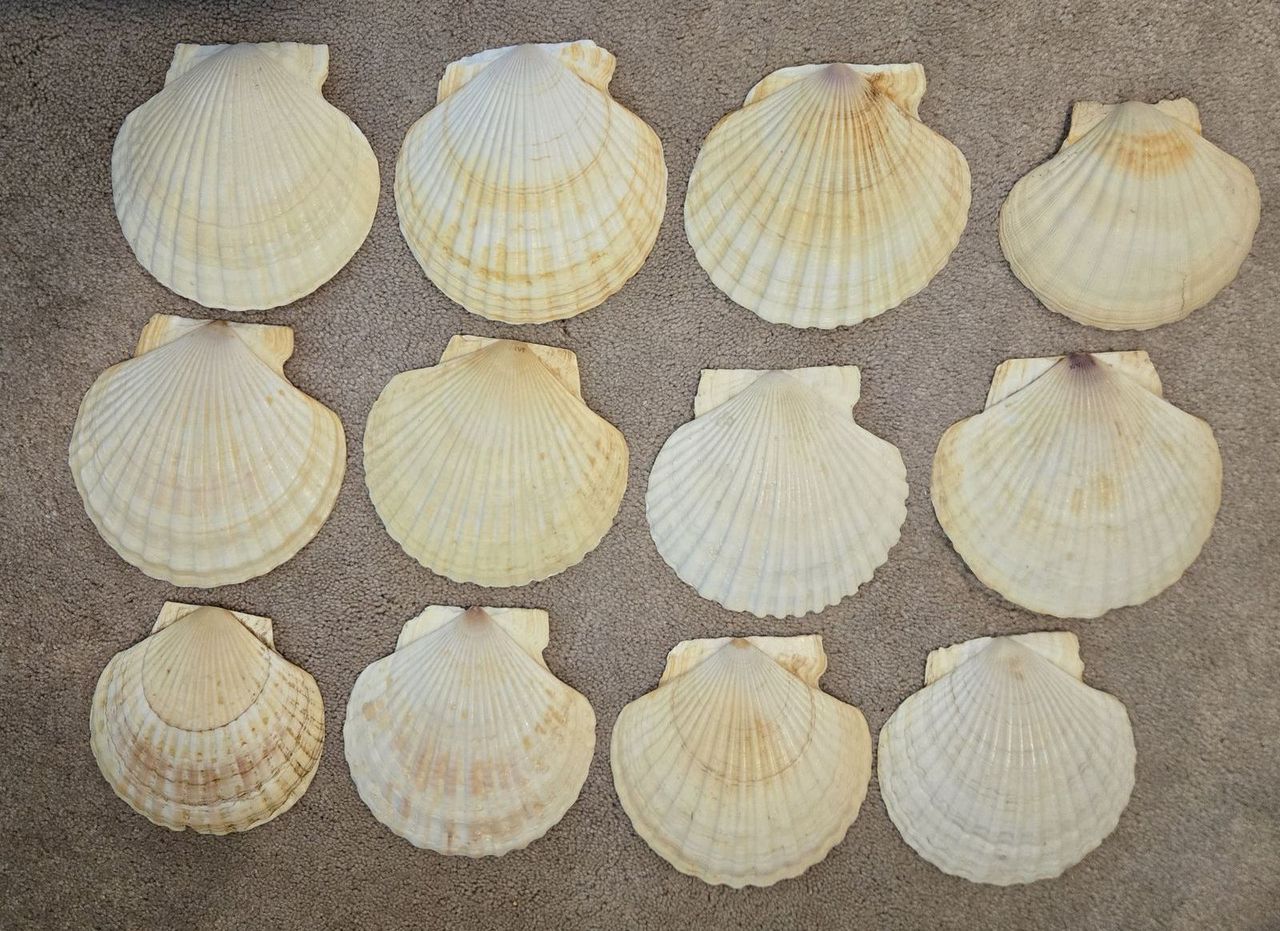 Main image 3