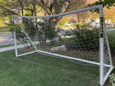 Forza Soccer Net