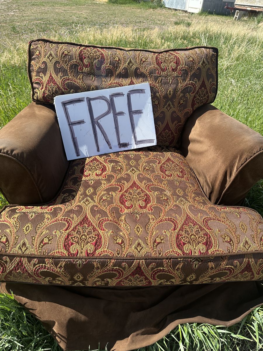 Comfy Living Room chair