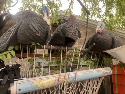 Archery and hunting Bulk Sale