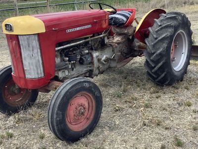 Classic 40 Massey Ferguson tractor