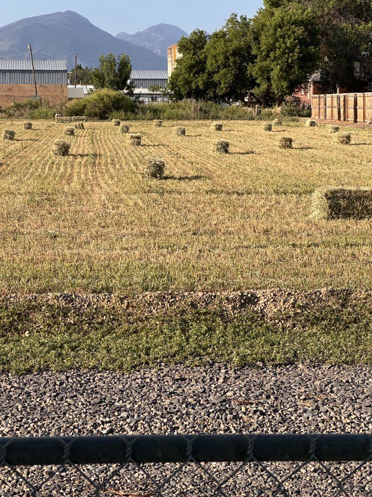 3rd crop alfalfa Hay Bales Available For Pickup