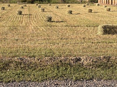 3rd crop alfalfa Hay Bales Available For Pickup