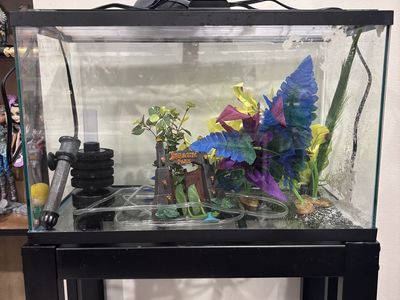 10 gal Fish Tank with stand
