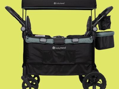 New Wagon Stroller