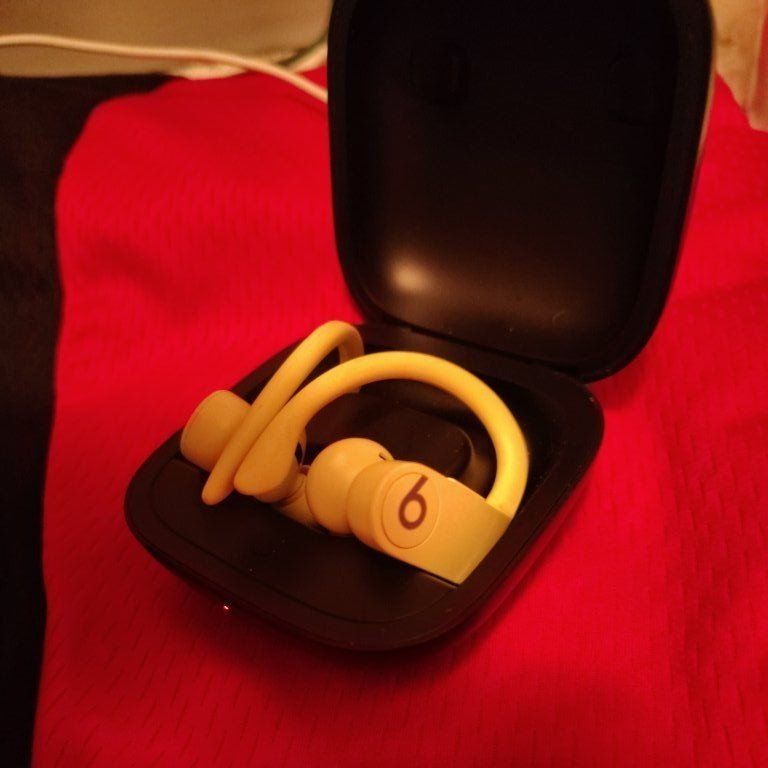 Beats By Dre Power Beats Pro Totally Wireless