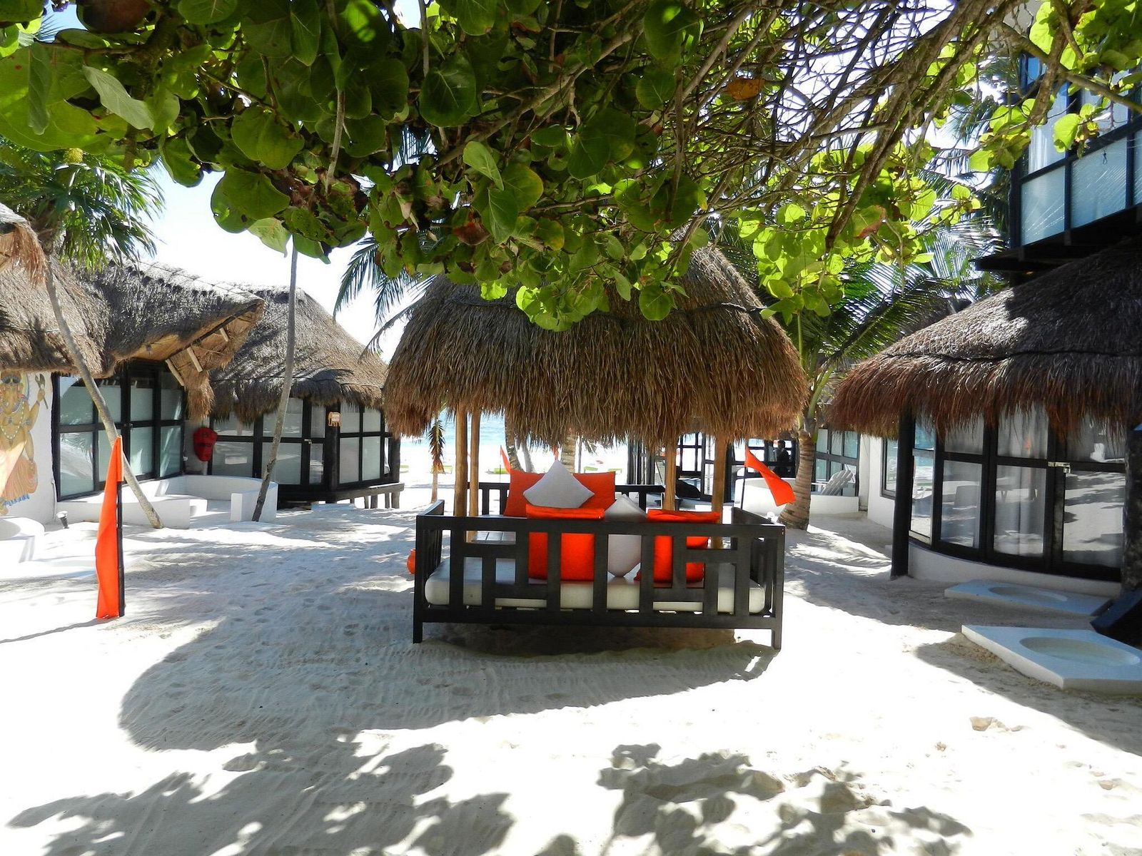 Main image 6