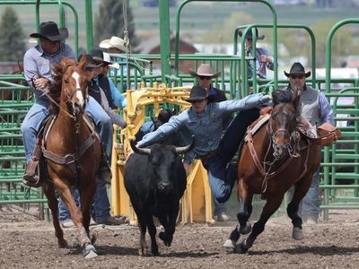 Steer Wrestling horse
