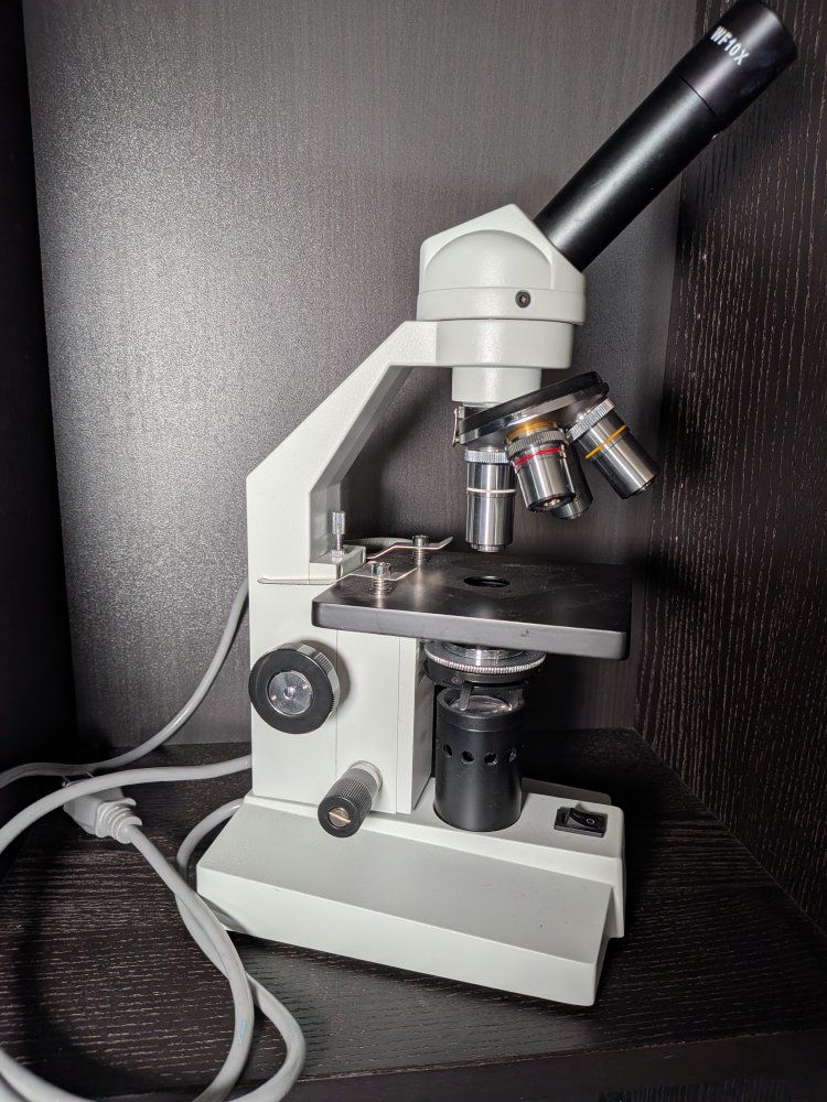 Main image 2