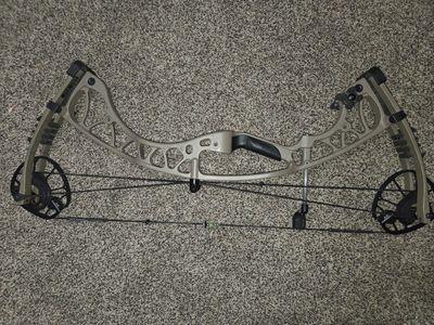 Hoyt Torrex XT