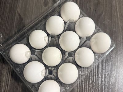 White Leghorn Fertile Hatching Eggs
