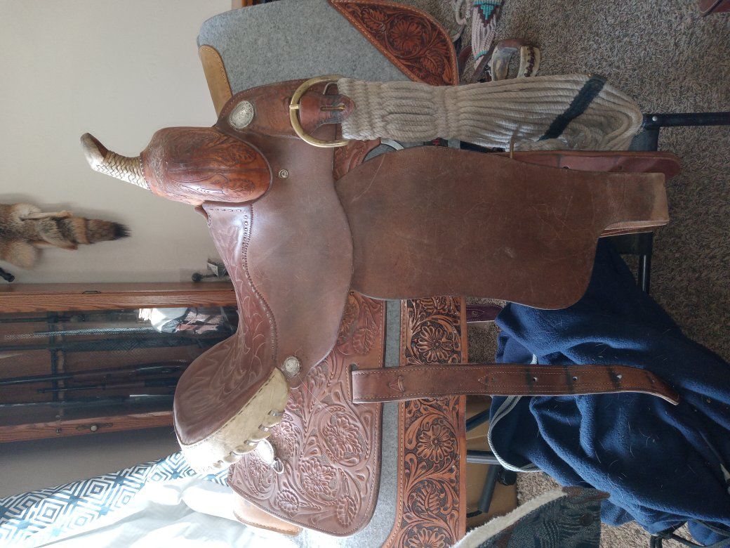 courts barrel saddle OBO