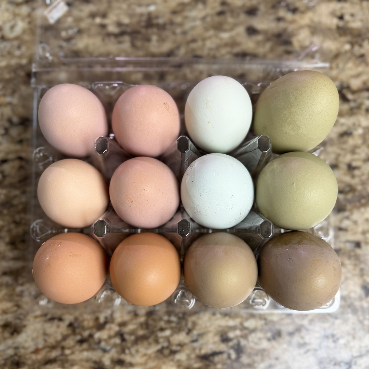 Rainbow Hatching Eggs