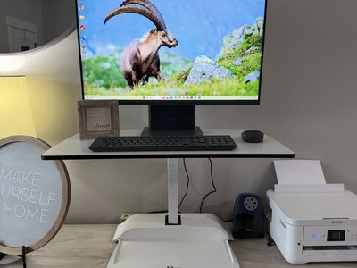 Electric Desktop Sit/Stand Desk Riser