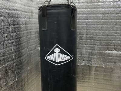 Hanging punching bag