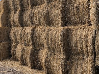 3-Way hay