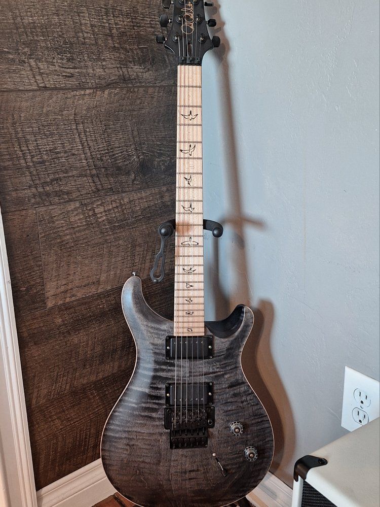 PRS Dustie Waring Signature CE24 Floyd