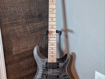 PRS Dustie Waring Signature CE24 Floyd