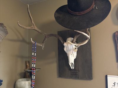 4 point buck hat rack.