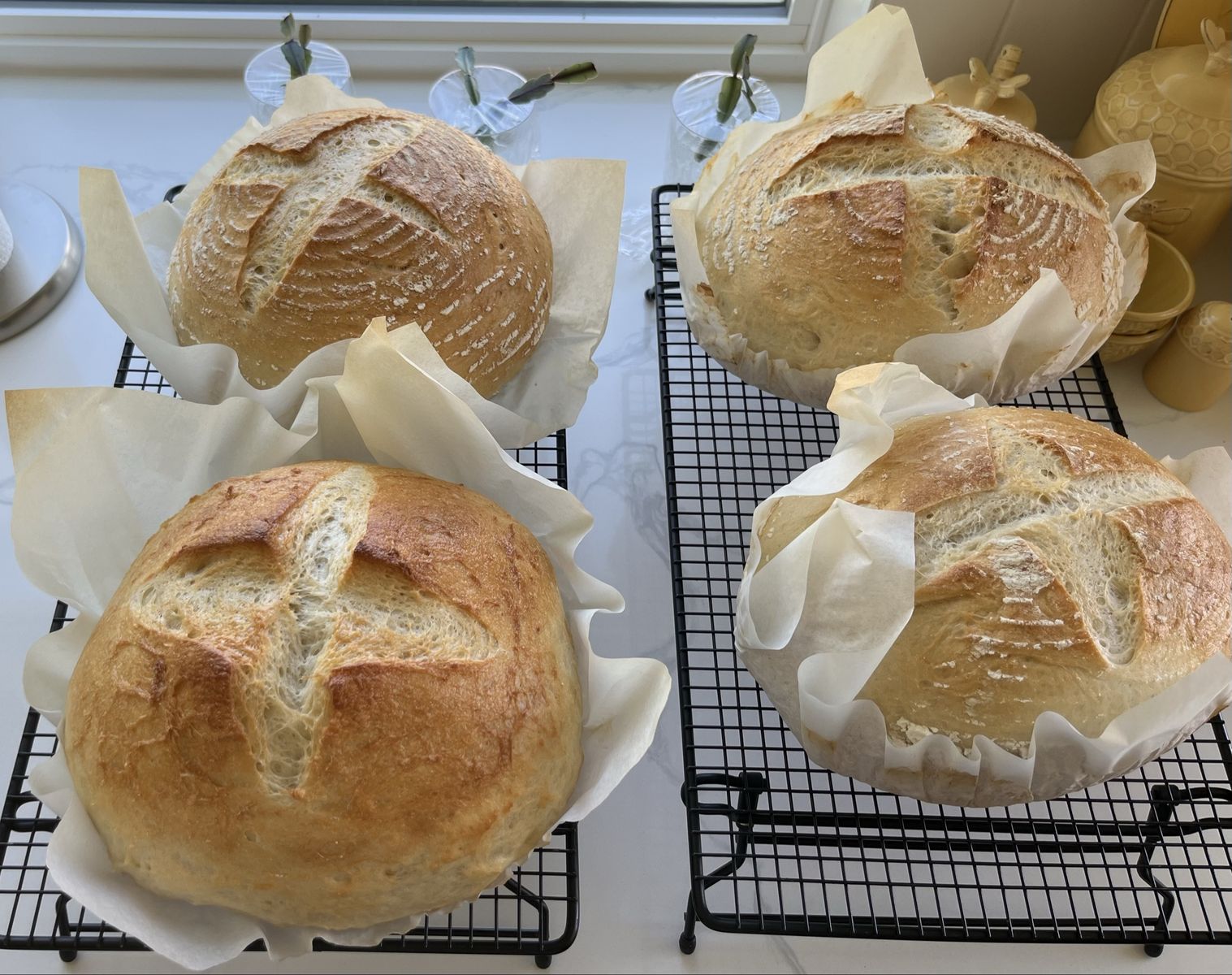 Sour Dough Bread Starter Kit