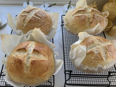 Sour Dough Bread Starter Kit