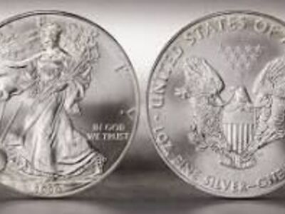 Tubes of Silver Eagles